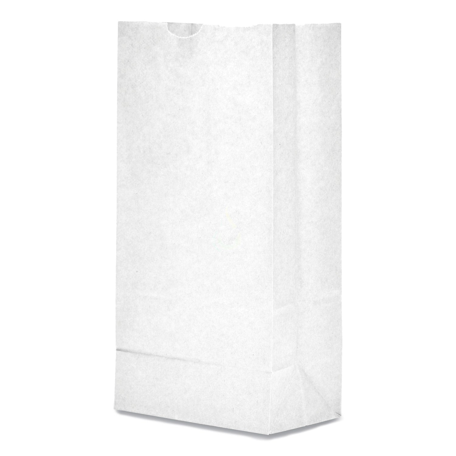 Paper Bag