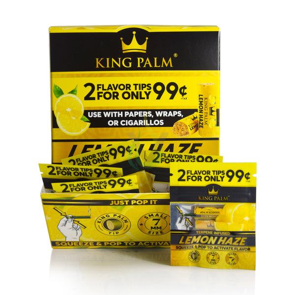 King Palm Filters Case