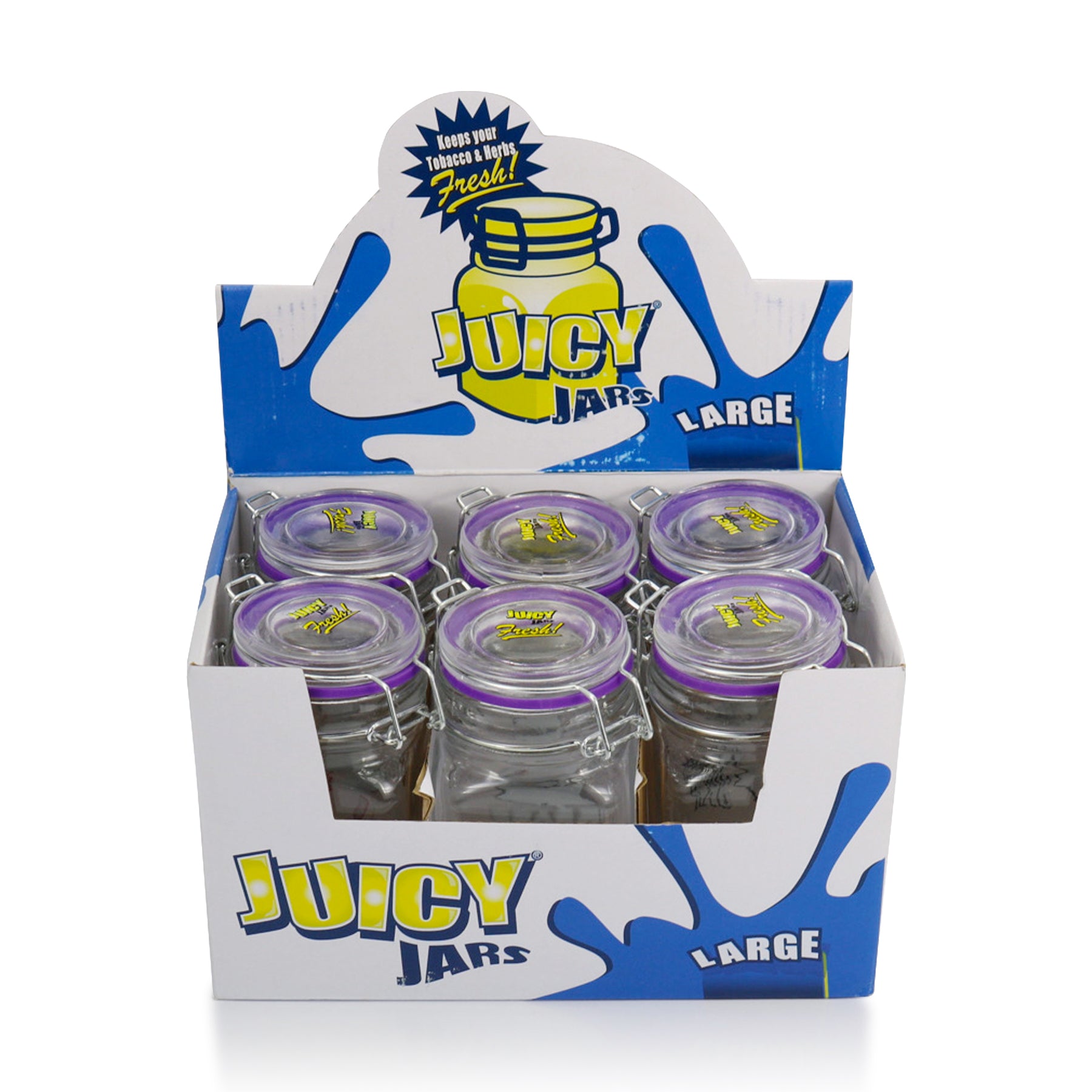 Juicy Jar Large Glass Storage Jar Case