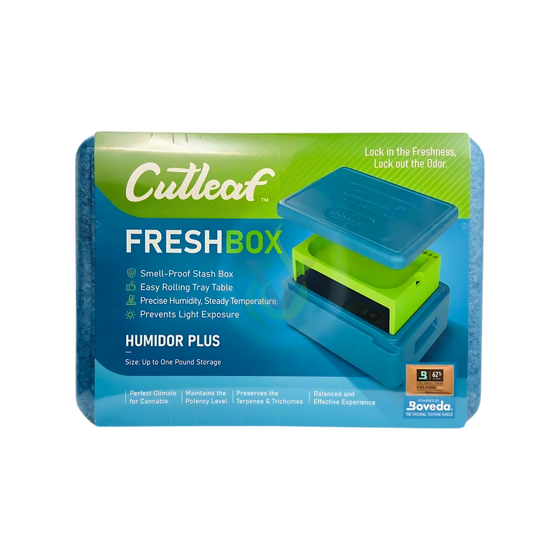 Cutleaf Fresh Box