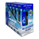 Mr Vapor Arctic Disposable Vape Case