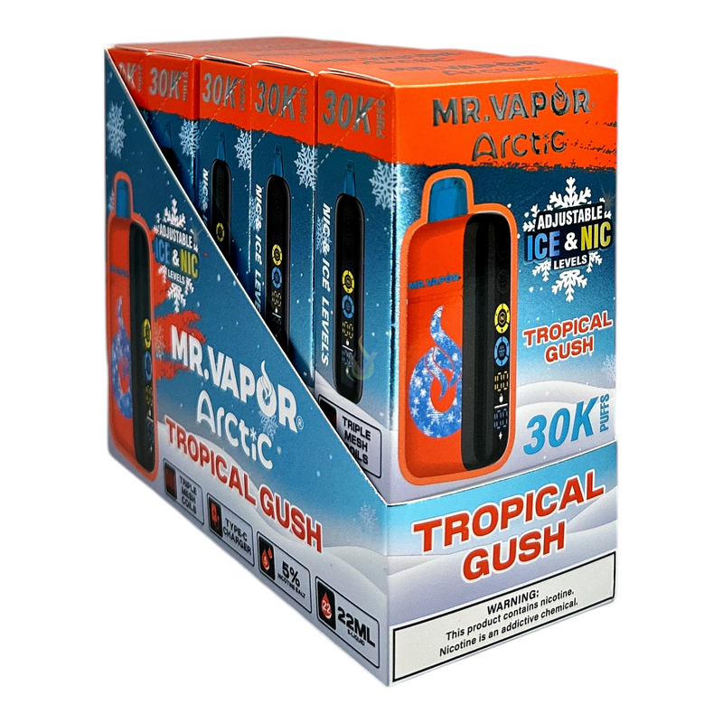Mr Vapor Arctic Disposable Vape