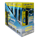 Mr Vapor Arctic Disposable Vape Case