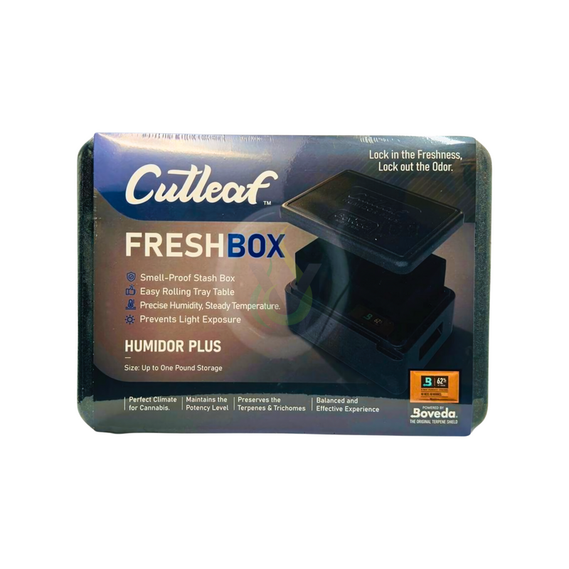 Cutleaf Fresh Box