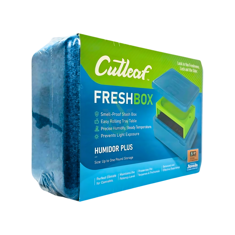 Cutleaf Fresh Box