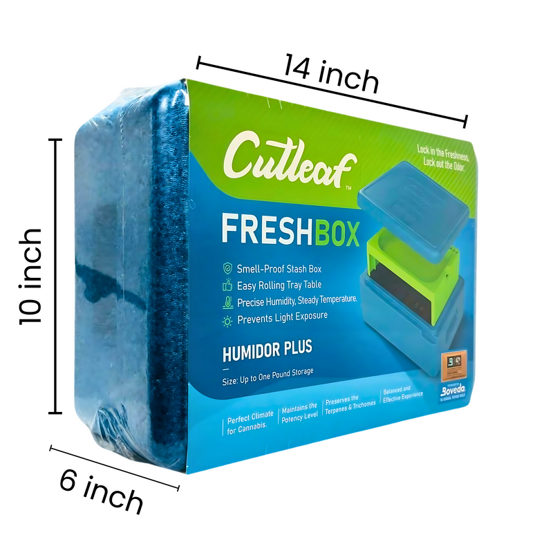 Cutleaf Fresh Box