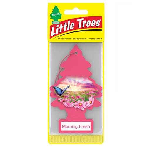 Little Trees Car Fresh Case