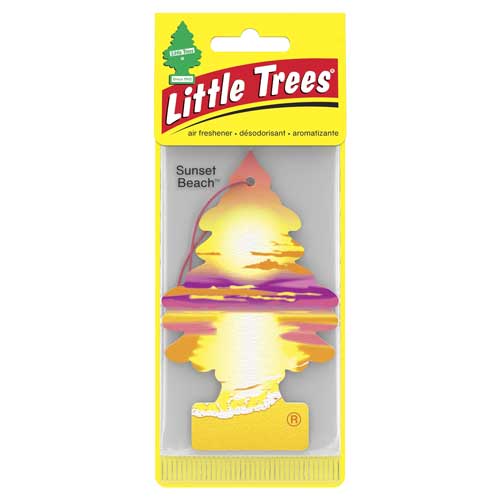 Little Trees Car Fresh Case