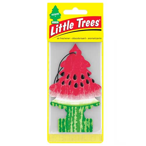 Little Trees Car Fresh Case