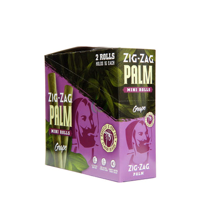 Zig Zag Palm Mini Rolls Case