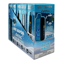 Mr Vapor Arctic Disposable Vape Case