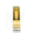 Mr. Vapor Flex Disposable Case