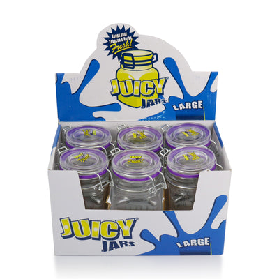 Juicy Jar Large Glass Storage Jar Case